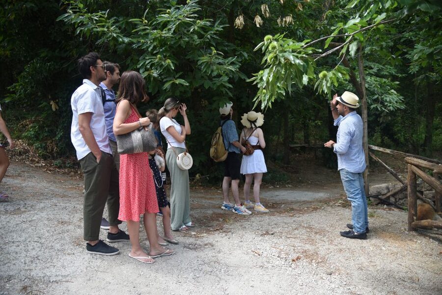 Sorrento: Farm Tour with Cheese Tasting & Pizza Making Class - What the experience is really worth
