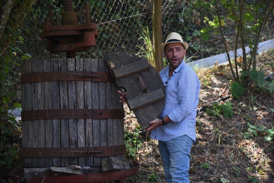 Sorrento: Farm Tour with Cheese Tasting & Pizza Making Class - Who should book this farm tour