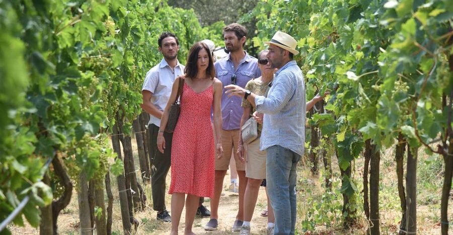 Sorrento: Farm Tour with Cheese Tasting & Pizza Making Class - Pickup from Sorrento and the drive uphill