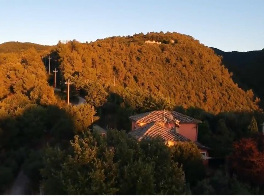 Spoleto Countryside Home Cooking Pasta Class & Meal - Who will enjoy this class most