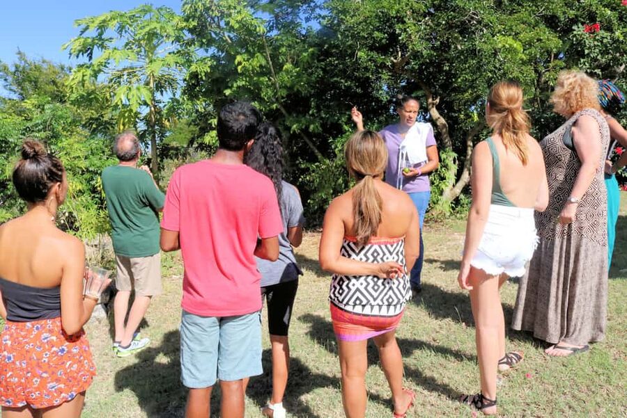 St. John's: Rum Cooking Class with 6 Rum Tastings - Dessert and the six-rum tasting