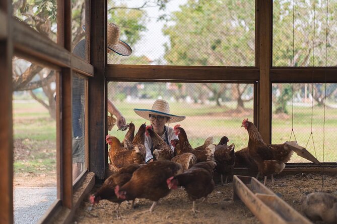 Sunset Thai Cooking with Grandma - Farm & Evening Feast - Practical Details Before You Book