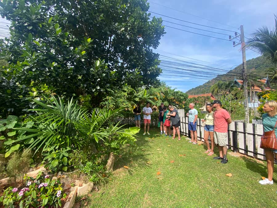 Thai Cooking Class with Market & Garden Tour - How the $73 price measures up