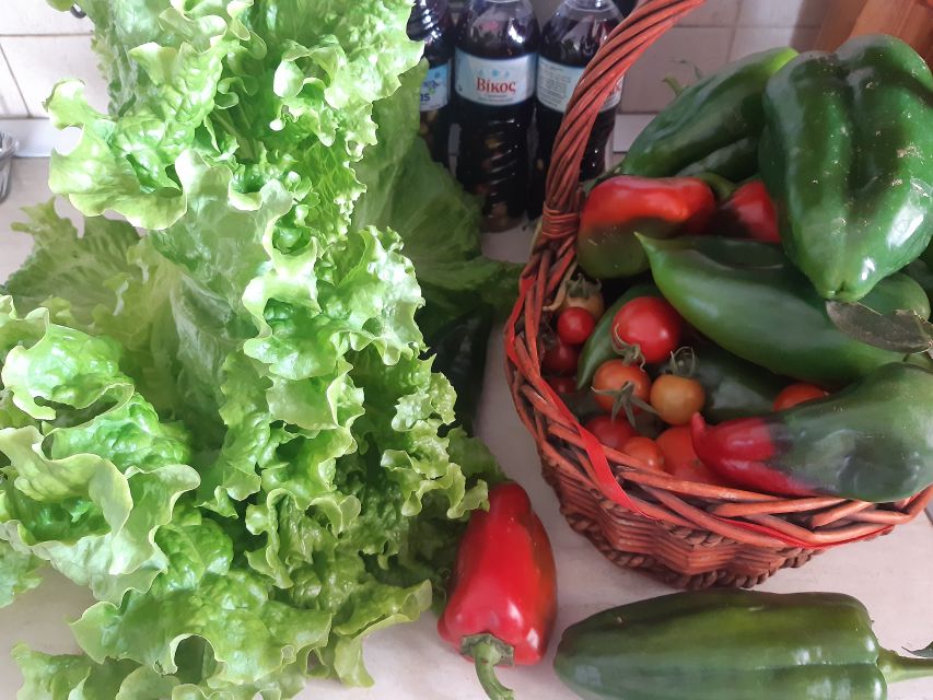 Thessaloniki:Greek Cooking Class and Meal at a Farm A - Is $176 a fair price?