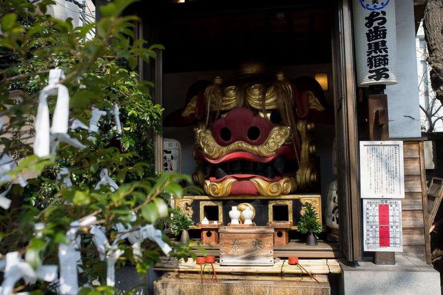 Tokyo: Tsukiji Market Walking Tour & Sushi Cooking Class - My verdict: book it for food skills, not market access