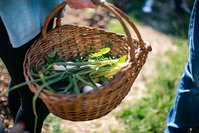 Traditional Cooking Class in Dubrovnik Countryside - Group size, dietary needs, and timing