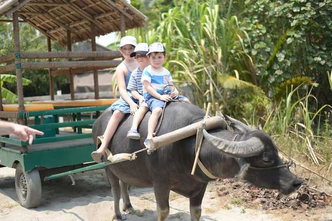 Traditional Cooking Class with Basket Boat Ride and market Tour - Starting at Hoi An Market