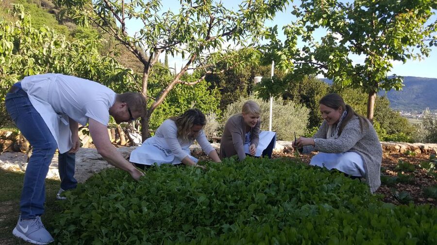 Traditional Dalmatian Cooking Class from Dubrovnik - Key points at a glance