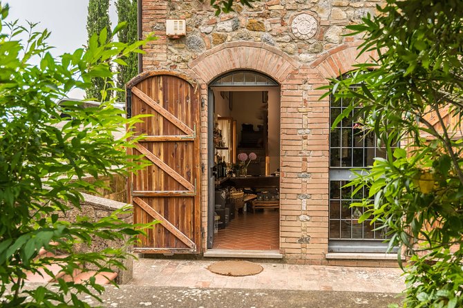 Truffle Hunting and Cooking Class - Wine and olive oil tasting