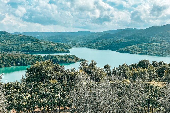 Truffle hunting & cooking tour - A three-course meal built around truffles