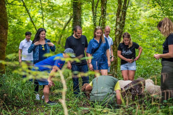 Truffle hunting & cooking tour - How the $130.66 price makes sense
