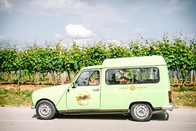 Truffle hunting & cooking tour - Who should book this Paladini experience