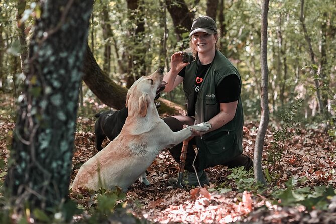 Truffle hunting & cooking tour - Stop 1: The Truffle Museum and the story behind the hunt