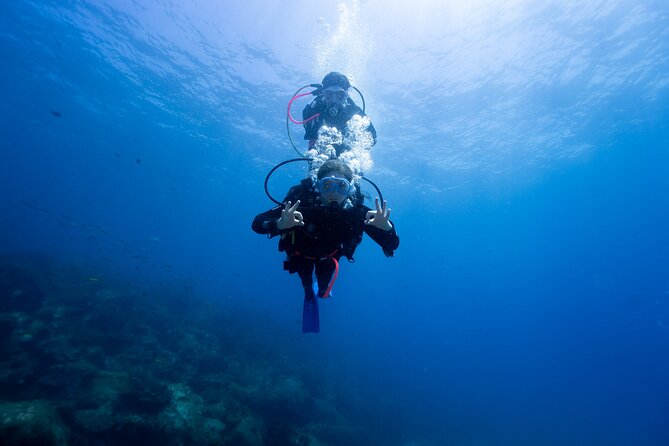 Try Scuba Diving at Cook Island – Guided Ocean Dive with Turtles - Key points at a glance