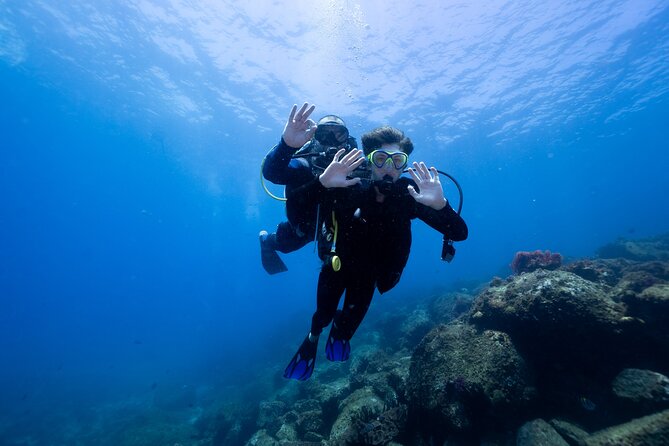 Try Scuba Diving at Cook Island – Guided Ocean Dive with Turtles - Cook Island gives first-timers a real ocean setting
