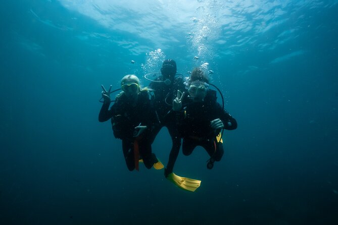 Try Scuba Diving at Cook Island – Guided Ocean Dive with Turtles - Instruction matters more than the certificate