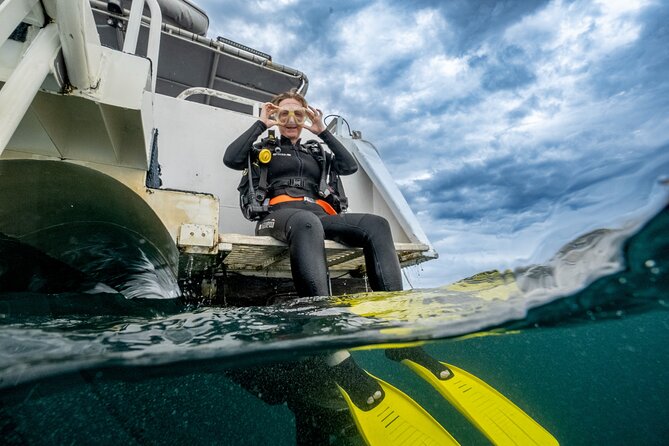 Try Scuba Diving at Cook Island – Guided Ocean Dive with Turtles - The price and what it covers