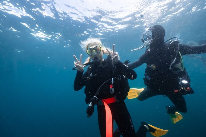 Try Scuba Diving at Cook Island – Guided Ocean Dive with Turtles - Who should book this Cook Island experience