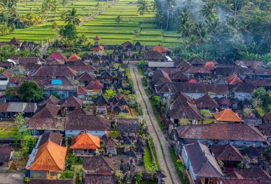 Ubud: Authentic Traditional Balinese Village Cooking Class - Key points at a glance