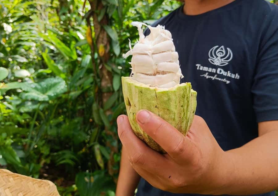 Ubud: Balinese Cooking Class at an Organic Farm - Key points to know before booking