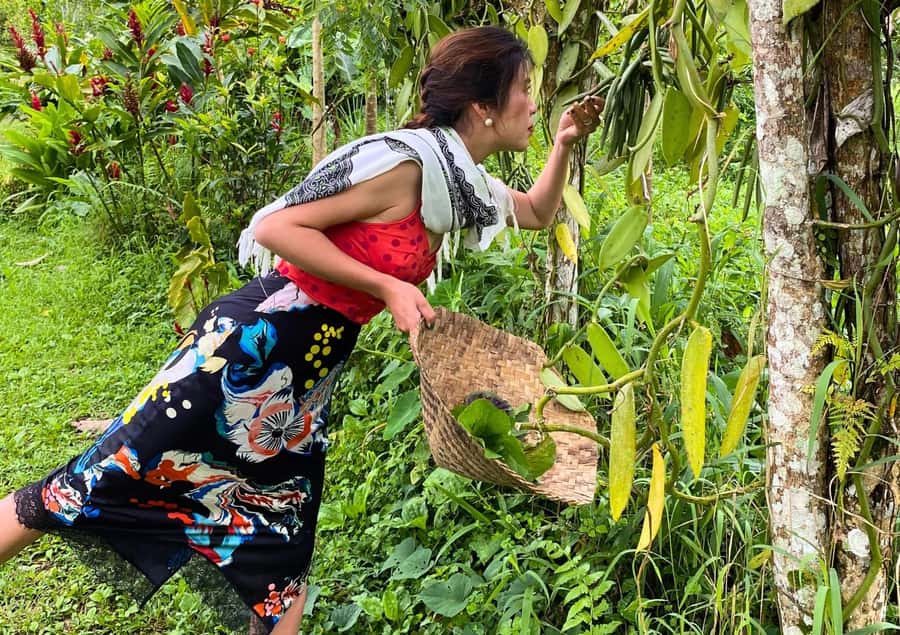 Ubud: Balinese Cooking Class at an Organic Farm - Ride from Ubud into the countryside