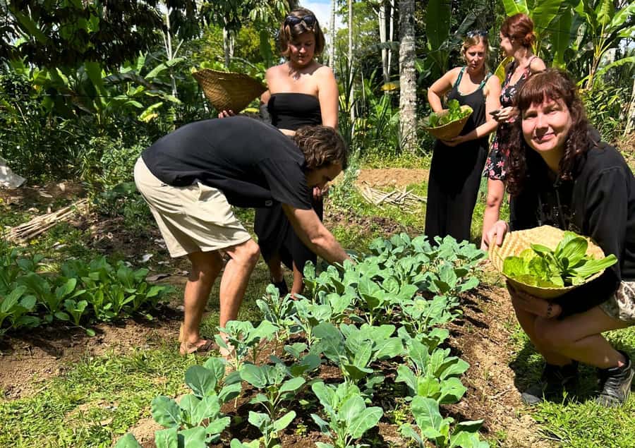 Ubud: Balinese Cooking Class at an Organic Farm - Choose the vegetarian menu without missing the full experience