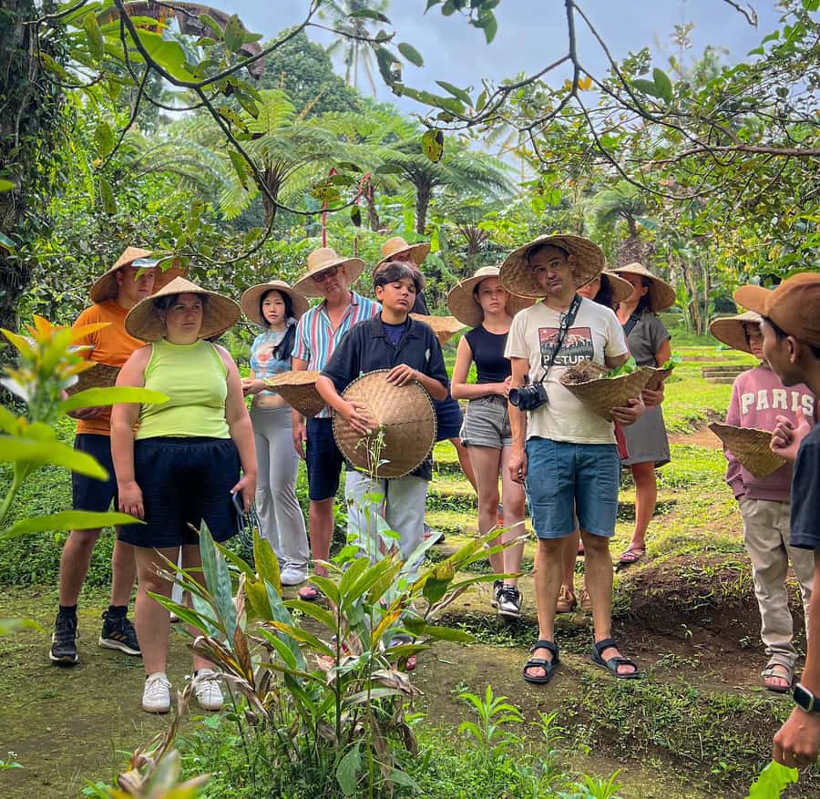 Ubud: Organic Farm Harvest, Bali Cooking Class by Pemulan - The Regular Menu: Curry, Kebabs, Tuna, and Dessert