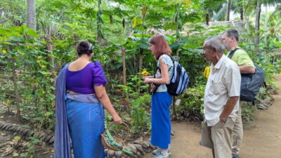 Udawalawe: Farm to Table Cooking & Authe: Village Experience