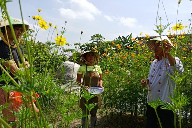 Unique farm to Table cooking class in Saigon - Who will enjoy this Saigon cooking class