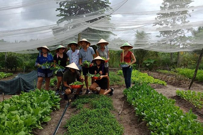 Unique farm to Table cooking class in Saigon - Picking the ingredients for lunch