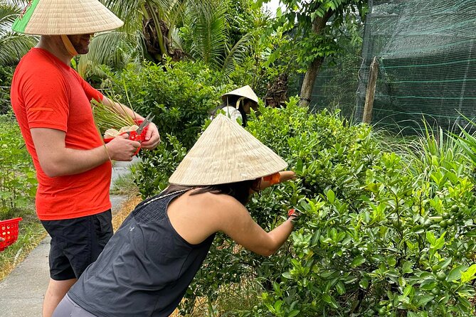 Unique Farm to Table Cooking Class with Top Chef in Vietnam - Practical tips for a smoother day