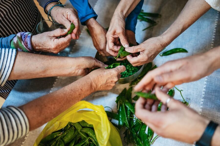 Venice: Rialto Market Tour, Cooking Class, and Lunch - Key points to know before booking