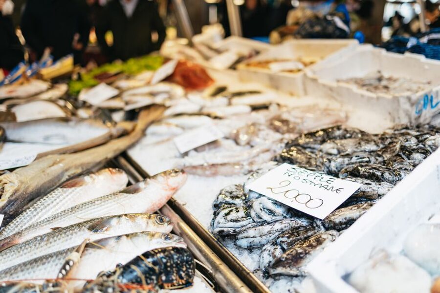 Venice: Rialto Market Tour, Cooking Class, and Lunch - Rolling pasta and building the menu
