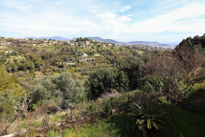 Viator Exclusive: Local Cooking Class & Dinner with View of Nice - Who will enjoy this evening most