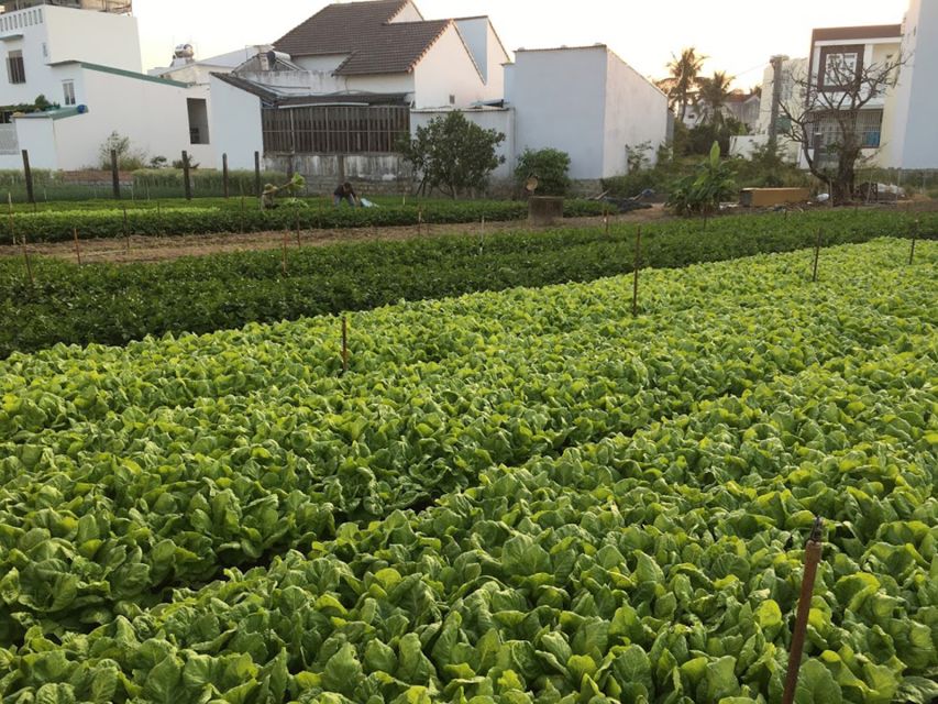 Viet Garden Cooking Class (Countryside and Market tour) - Key points to know before booking