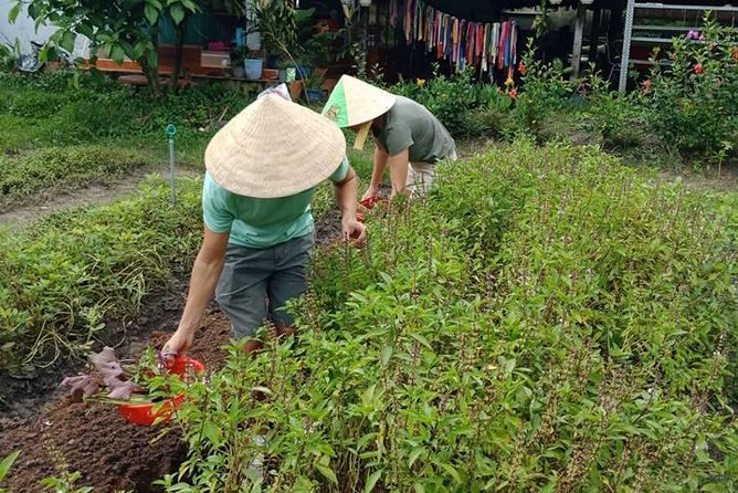 Vietnamese Cooking Class and Cu Chi Tunnels Tour from Ho Chi Minh City - Who will enjoy this tour most