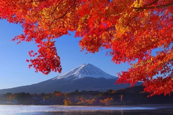 View of Mt. Fuji is good! Sushi making experience class - Why this sushi class works well near Mt. Fuji