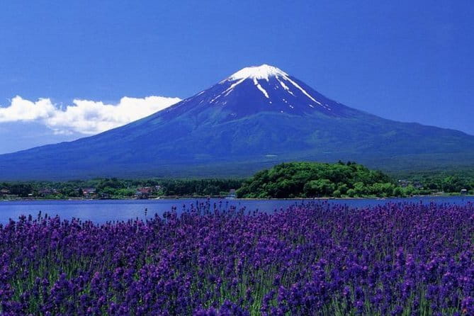 View of Mt. Fuji is good! Sushi making experience class - A traditional room with a Fuji-facing window
